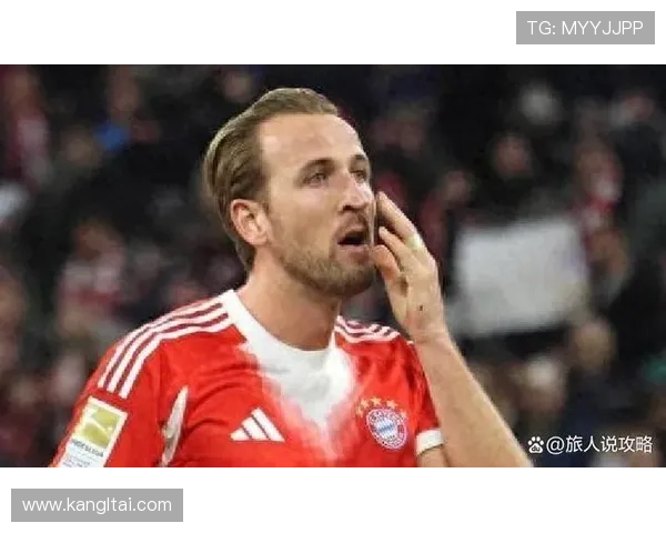 哈曼批昔日拜仁沦为经纪人棋子 哈曼批昔日拜仁沦为经纪人棋子